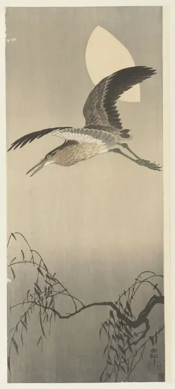 Reiger en maan