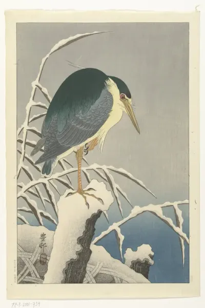 Reiger in sneeuw