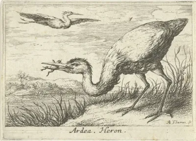 Reiger met kikker in de bek