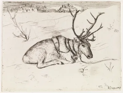 Reindeer on the Snow