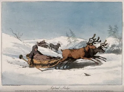 Reindeer pulling children in sledges in Lapland