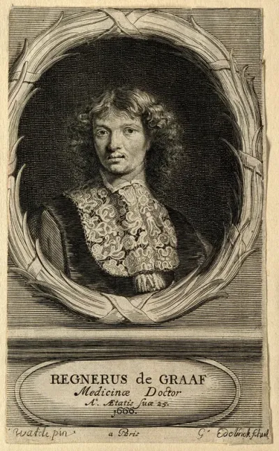 Reinier de Graaf