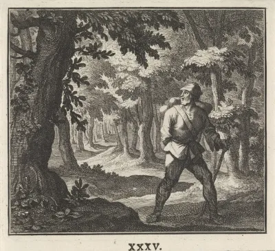 Reizier in een donker bos