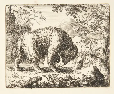 Renard lover bjørnen honning