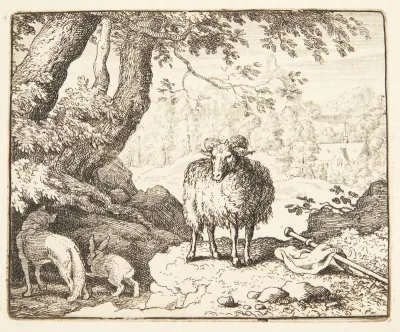 Renard vender hjem