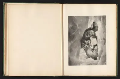Reproductie van een prent naar een schilderij van een hond en een schaap in de sneeuw door Edwin Landseer