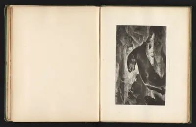 Reproductie van een prent naar een schilderij van een otter met een zalm door Edwin Landseer