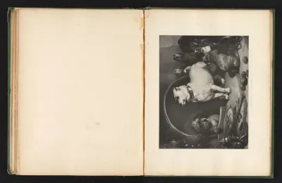 Reproductie van een prent naar een schilderij van honden door Edwin Landseer
