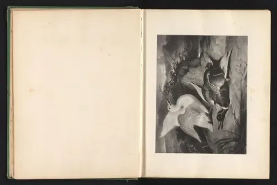 Reproductie van een prent naar een schilderij van twee eenden door Edwin Landseer