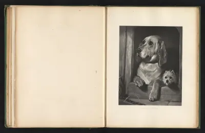 Reproductie van een prent naar een schilderij van twee honden door Edwin Landseer