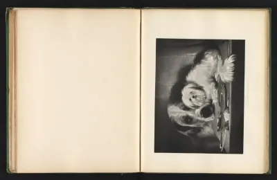 Reproductie van een prent naar een schilderij van twee honden en een muis door Edwin Landseer