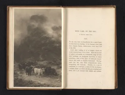 Reproductie van een schilderij van buffels in een berglandschap
