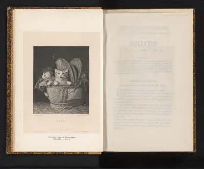 Reproductie van een schilderij van kittens in een mand door Louis-Eugène Lambert