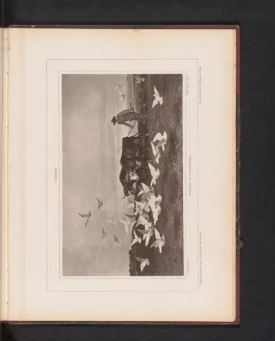 Reproductie van Pigeons et laboureurs door August Friedrich Albrecht Schenck
