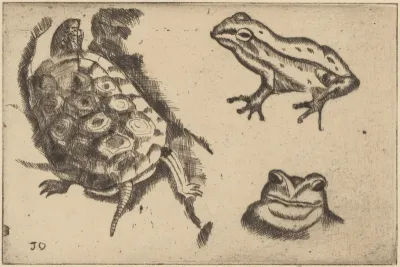 Reptiles