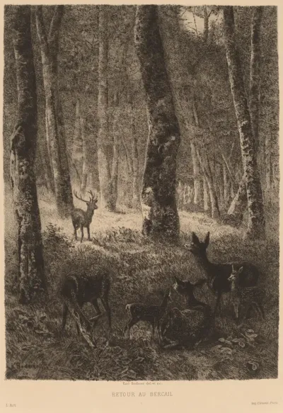 Retour au Bercail