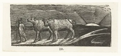 Return of the shepherd