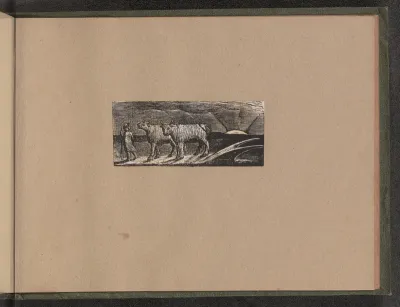 Return of the Shepherd