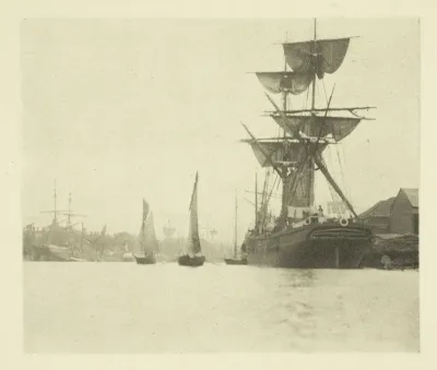 Return of the Shrimpers