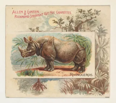 Rhinoceros, from Quadrupeds series (N41) for Allen & Ginter Cigarettes