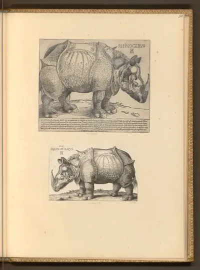 Rhinozeros