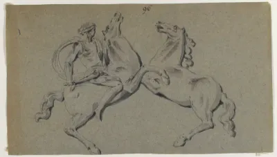 Rider and Horse in Battle Scene