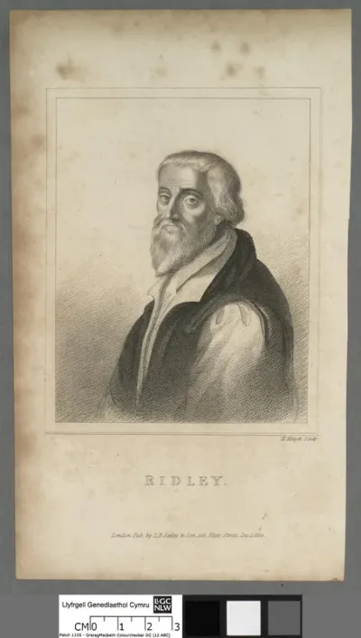 Ridley