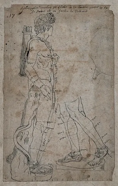 Right lateral view of the Apollo Belvedere