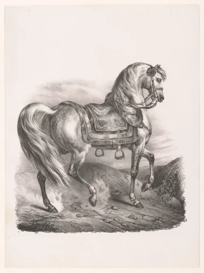 Rijpaard met zadel en stijgbeugels