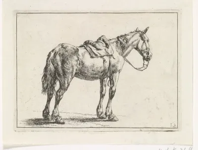 Rijpaard naar rechts