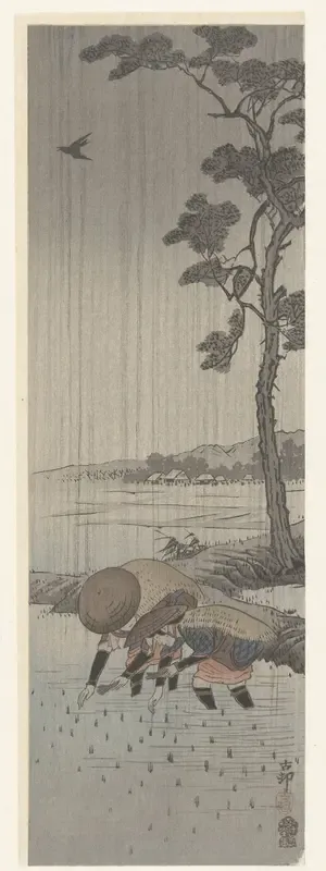 Rijstplanters in de regen