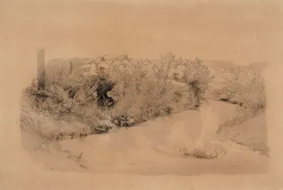 River Landscape