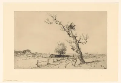River Meadows, Wareham