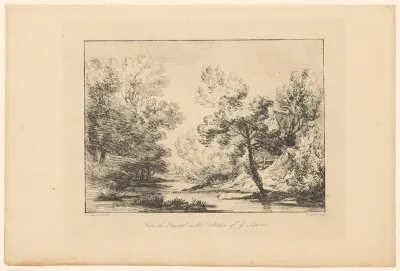 Rivier in bosrijk gebied