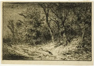 Road at the Edge of a Wood