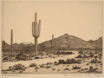 Road to Paradise Valley, Arizona