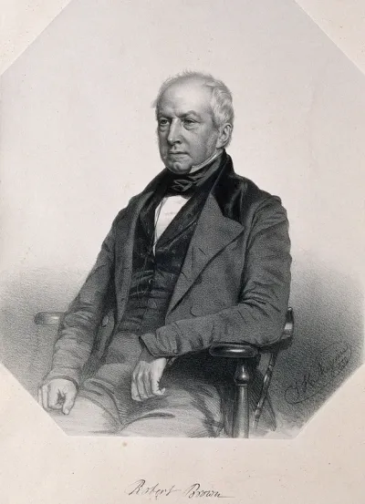Robert Brown. Lithograph by T. H. Maguire, 1850