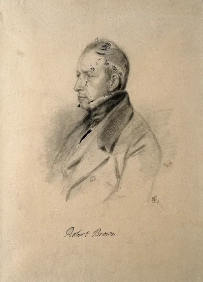 Robert Brown. Pencil drawing by C. E. Liverati, 1841