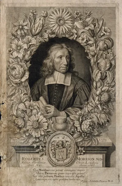 Robert Morison. Line engraving by R. White, 1680, after W. Sonmans