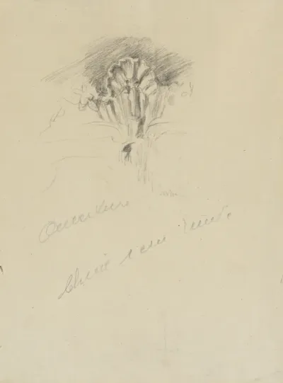 Rocaillemotief (verso)