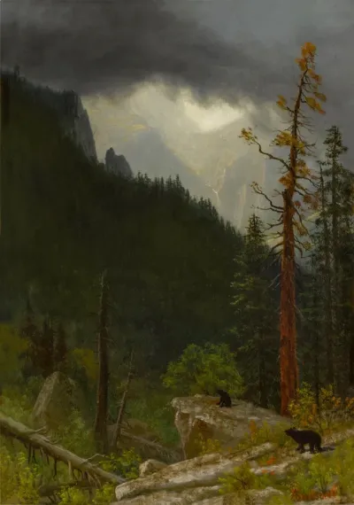 Rockies After a Storm