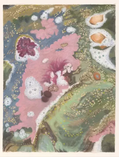 Rockpool