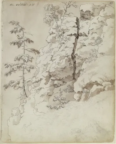 Rocky slope with trees