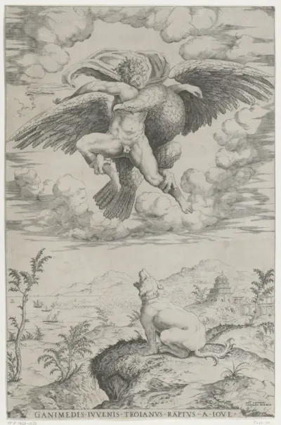 Roof van Ganymedes