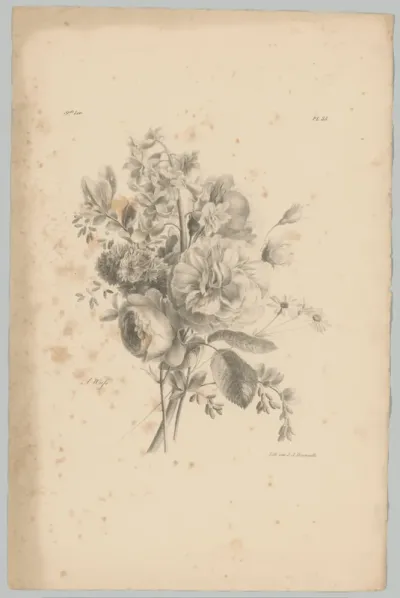 Roos en andere bloemen