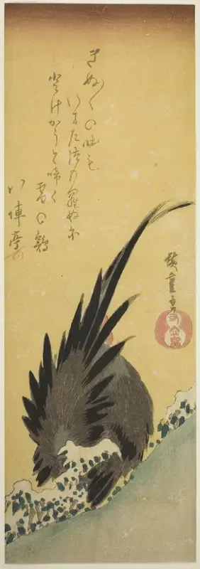 Rooster on a hillside in winter