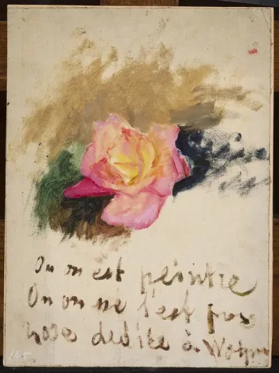 Rose