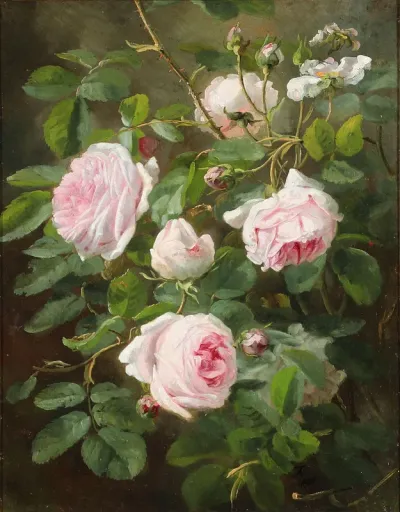 Rosenbusch