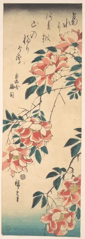 Roses