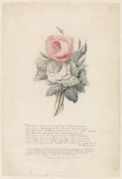 Roses